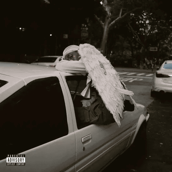 BLOOD ORANGE - Negro Swan Vinyl [ vinyl ]