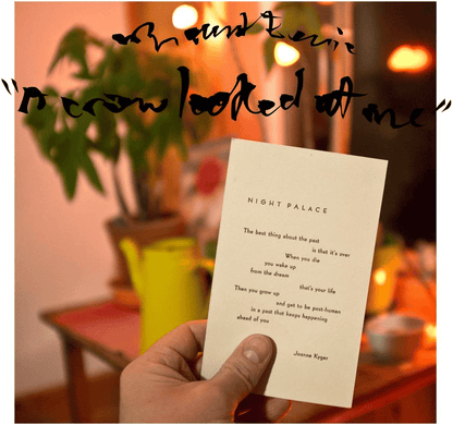 MOUNT EERIE - A Crow Looked At Me Vinyl [ vinyl ]