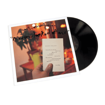 MOUNT EERIE - A Crow Looked At Me Vinyl [ vinyl ]