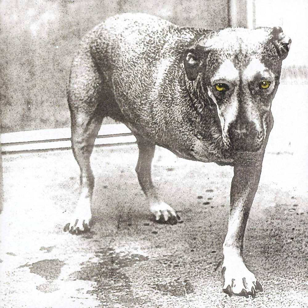 ALICE IN CHAINS - Alice In Chains 30th Anniversary Vinyl [ vinyl ]