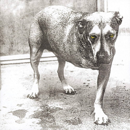 ALICE IN CHAINS - Alice In Chains 30th Anniversary Vinyl [ vinyl ]