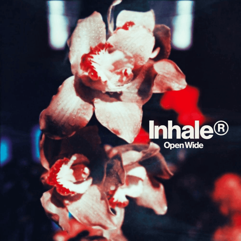 INHALER - Open Wide Vinyl [ vinyl ]