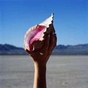 THE KILLERS - Wonderful Wonderful Vinyl [ vinyl ]