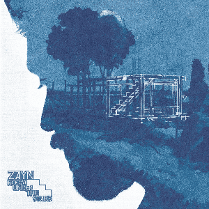 ZAYN - Room Under The Stairs Vinyl [ vinyl ]